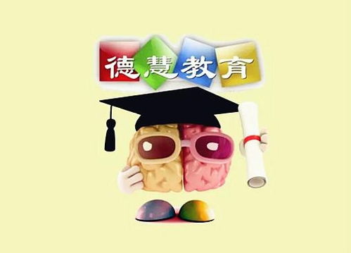 慈溪德慧教育 以專業資訊搭建成長橋梁